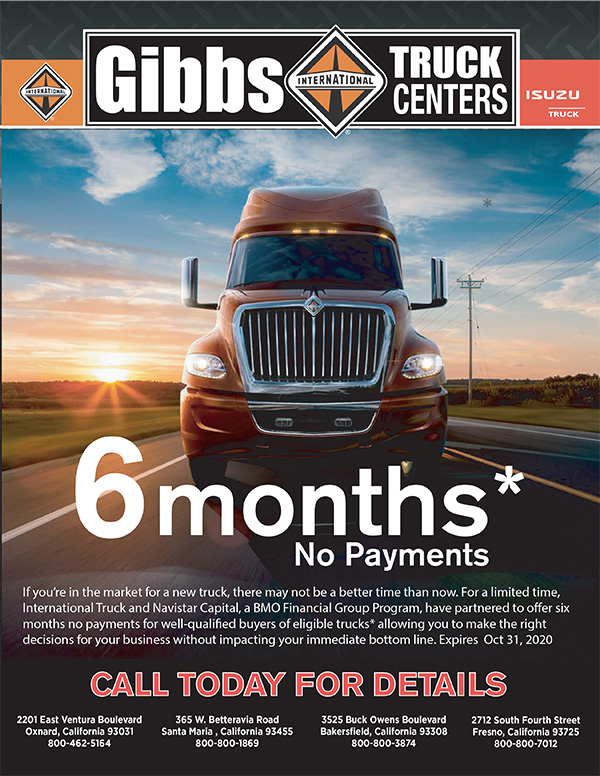 No Payments 6 Months Flyer Ad